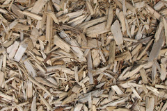 biomass boilers Carron